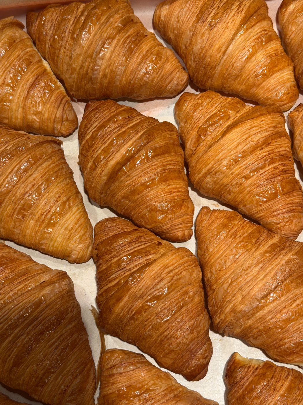 Tray of freshly baked croissants